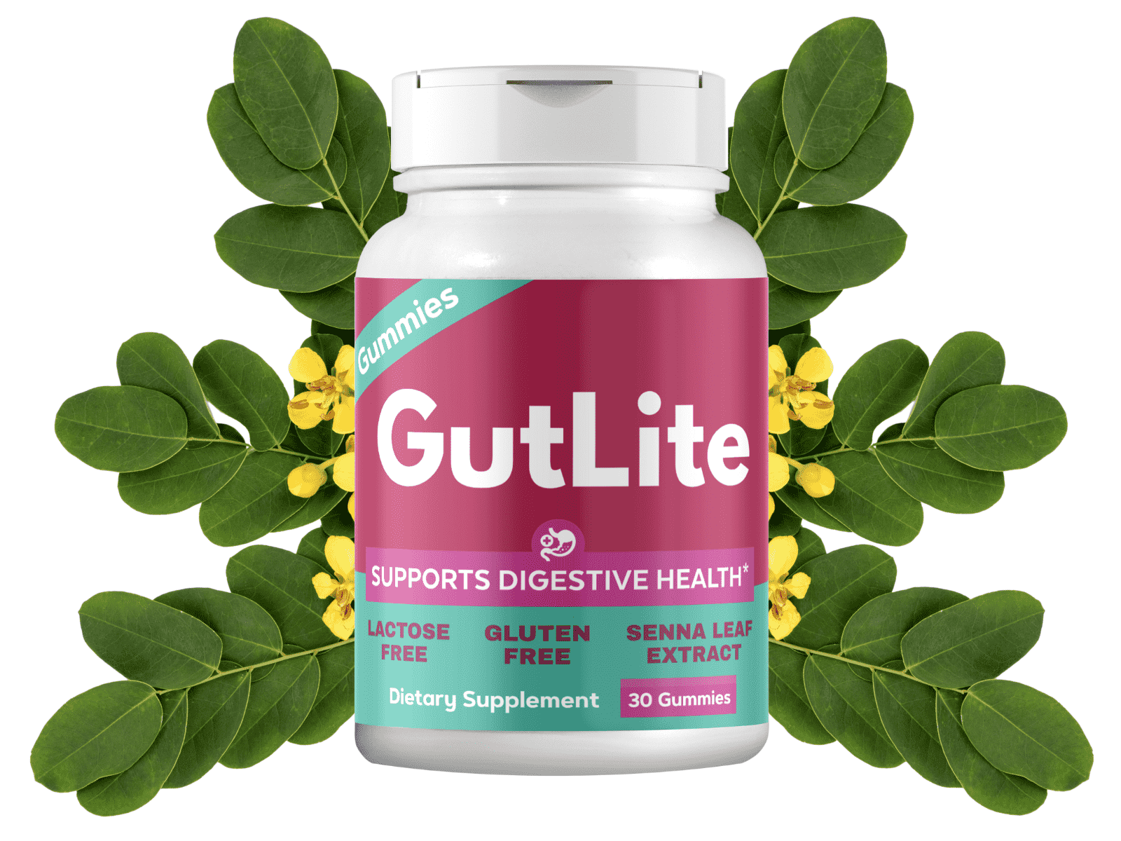 GutLite banner image